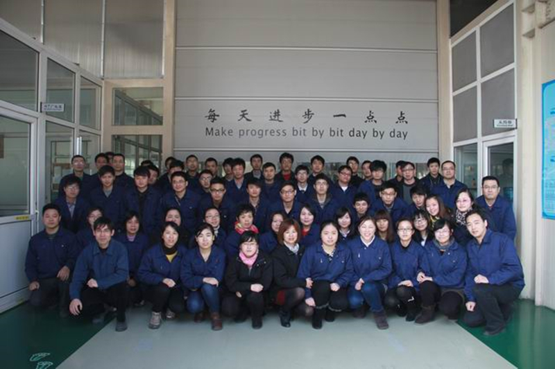 ricardo silent generator